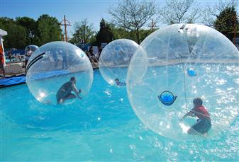 hamster wheel pool float