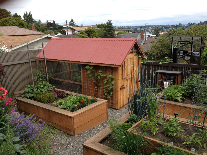 Don T Be The Last Person To Get Backyard Chickens Estately Blog