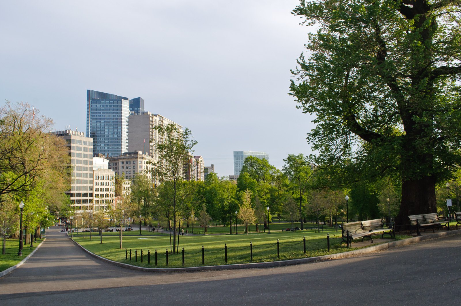 Boston_Common_(7208155154)