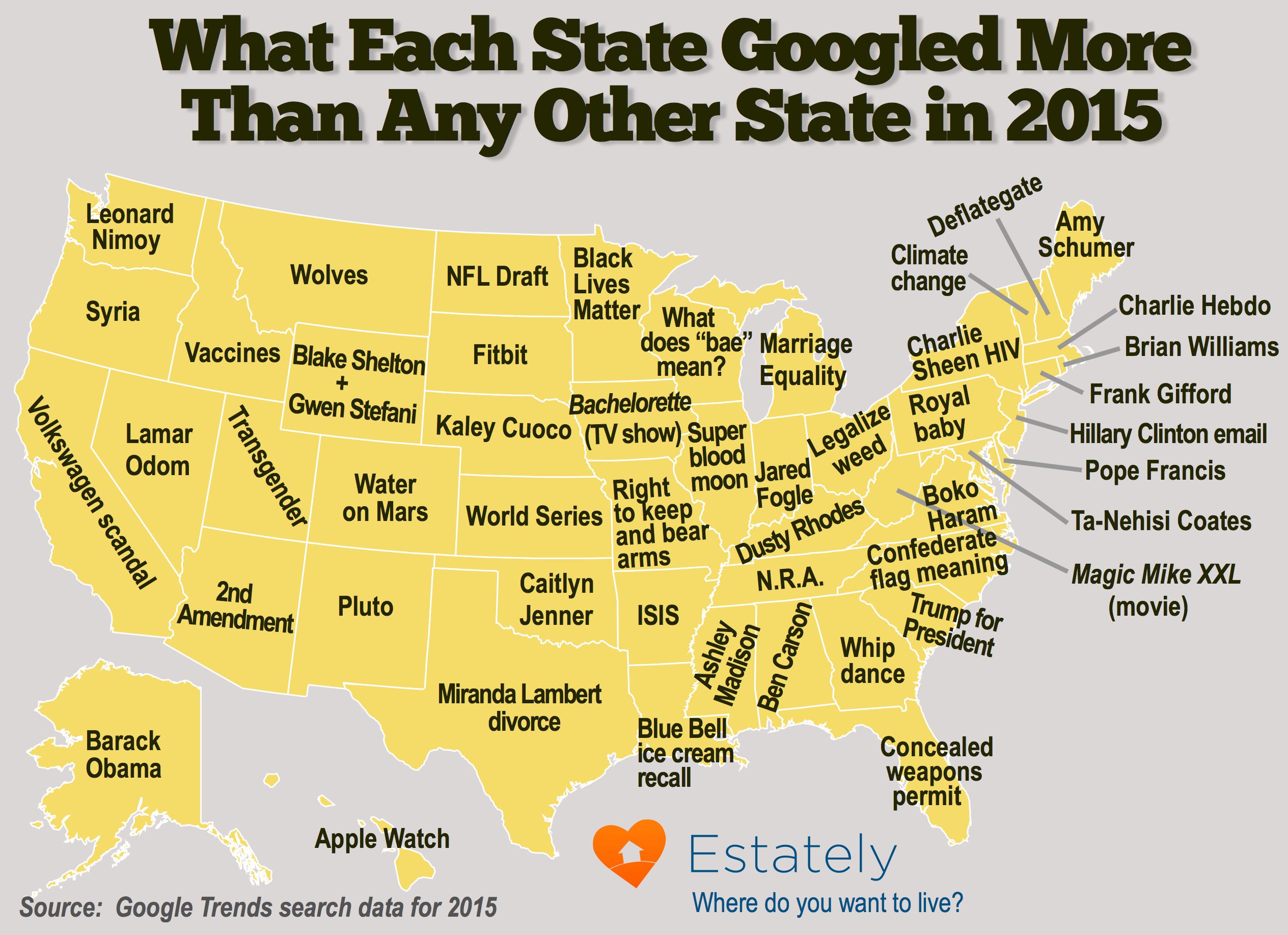 state google search 2015