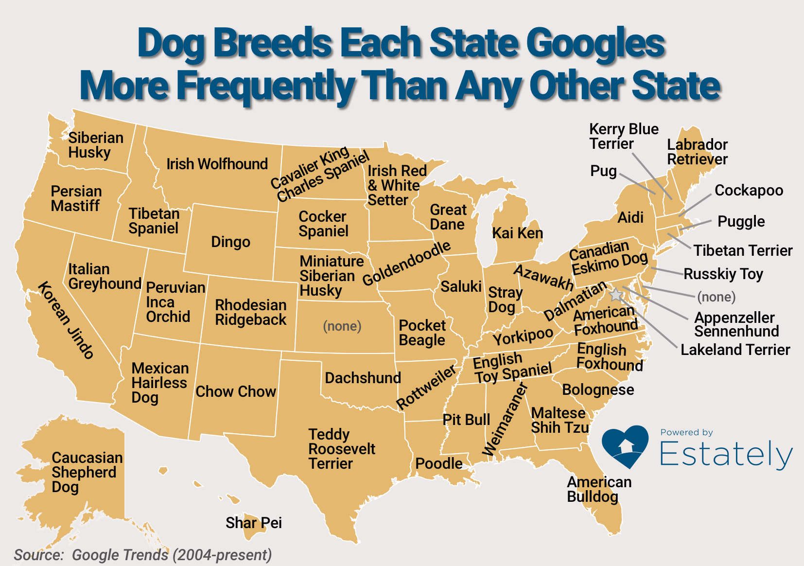 final-dog-map