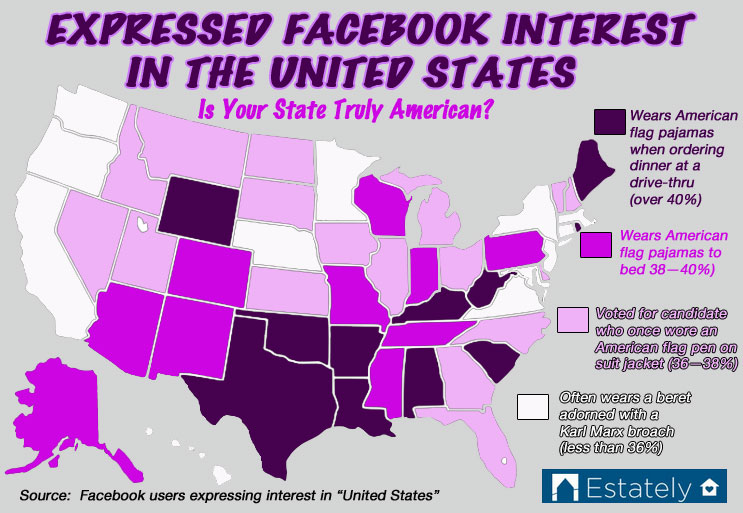 FB-USA-interest-map