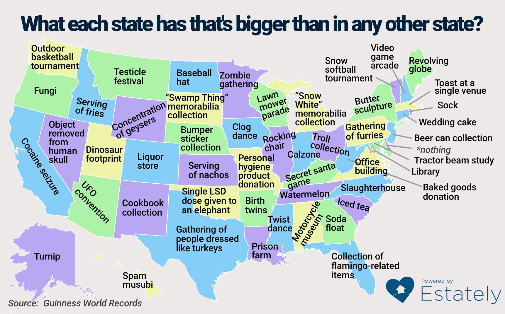 What is the biggest state in america this map shows t vrogue co